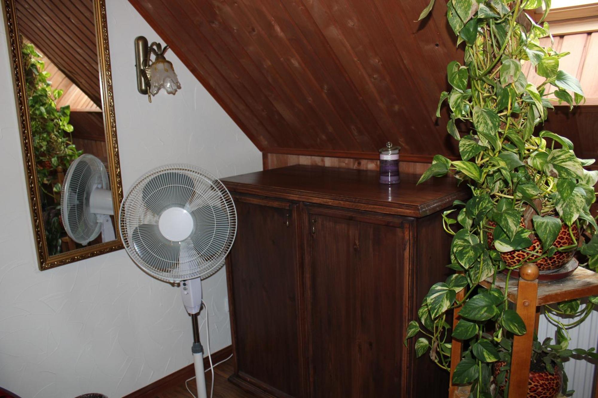 Krapi Guesthouse Treimani Номер фото
